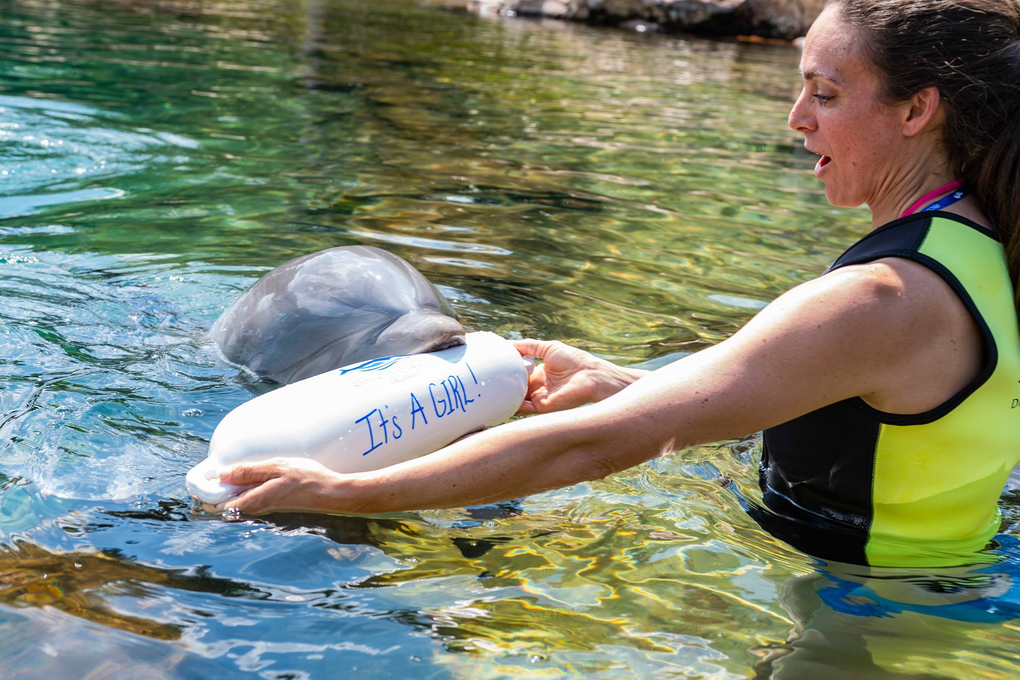 Discovery Cove Celebration Package