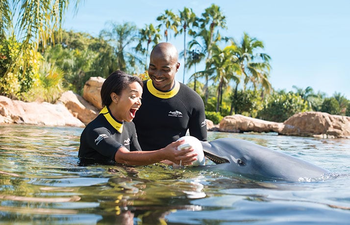 Prosposal at the dolphin swim Discovery Cove